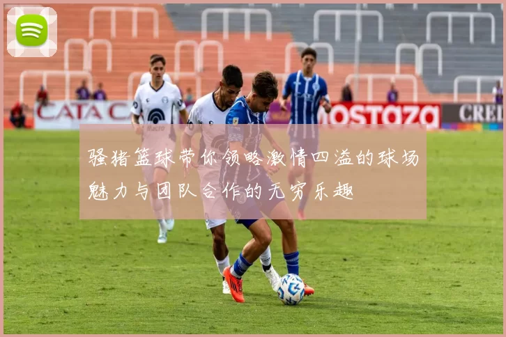 骚猪篮球带你领略激情四溢的球场魅力与团队合作的无穷乐趣