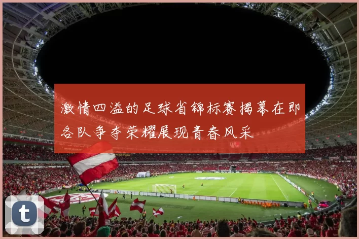 激情四溢的足球省锦标赛揭幕在即各队争夺荣耀展现青春风采