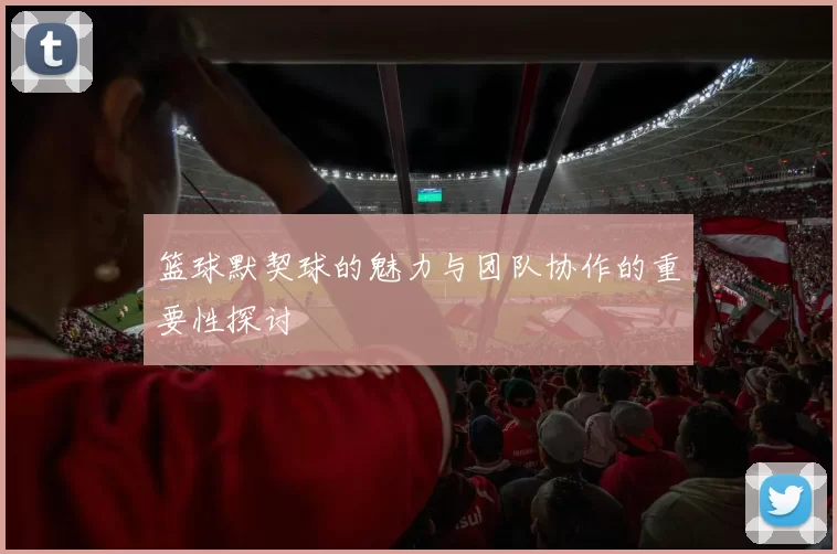 篮球默契球的魅力与团队协作的重要性探讨