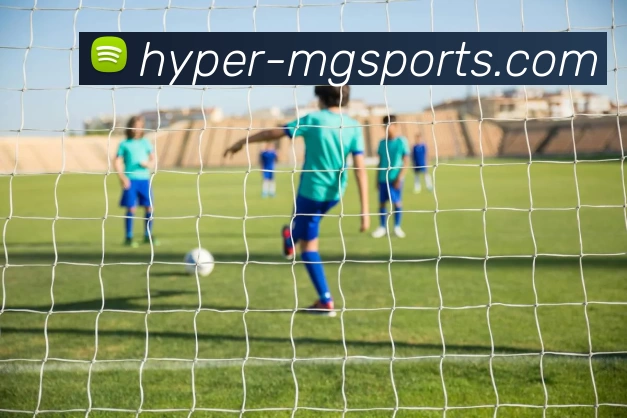 满贯体育平台生态图